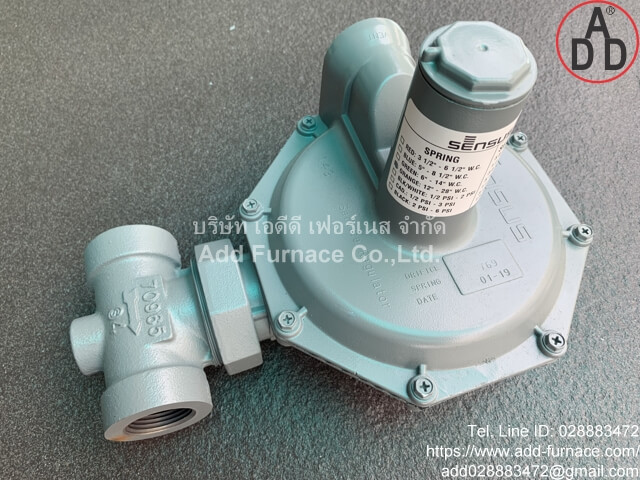 Sensus 143 Service Regulator(1)